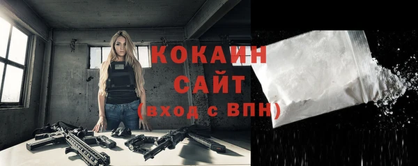 бошки Горняк
