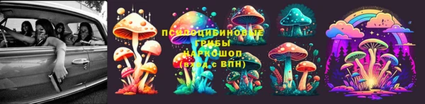 бошки Горняк