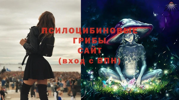 соль ск Горнозаводск