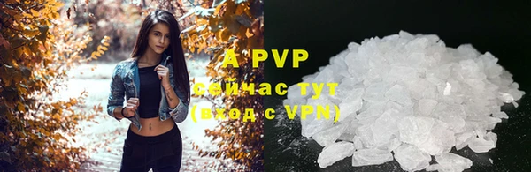 соль ск Горнозаводск